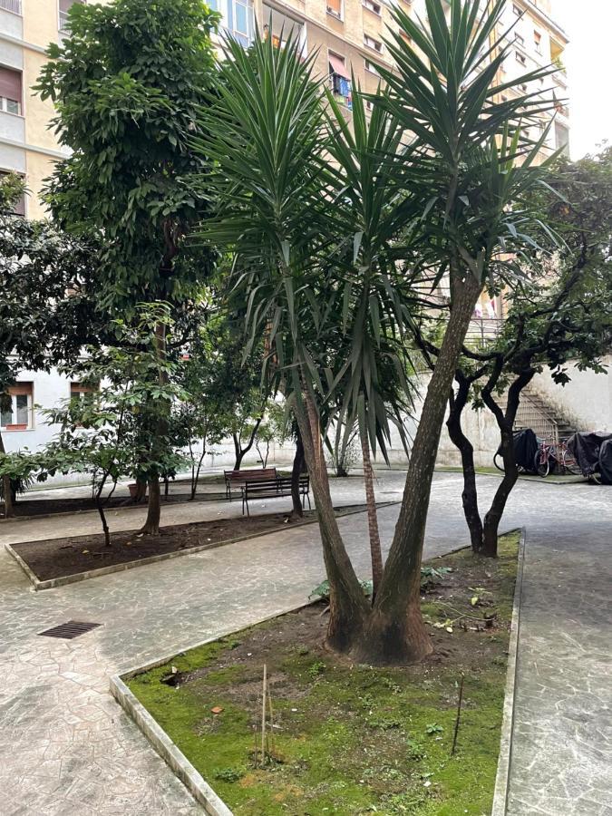 Casavalentina Otel Roma Dış mekan fotoğraf